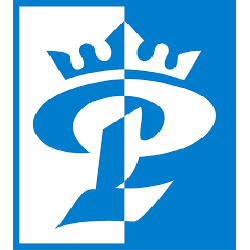 Paramount Surgical
